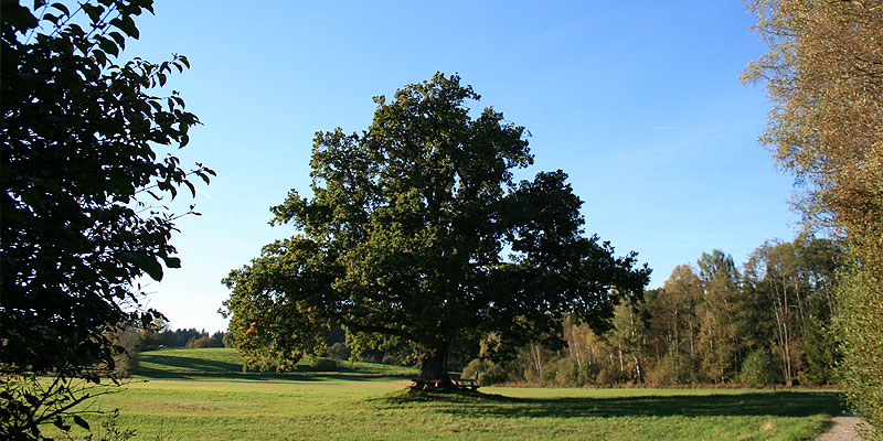 Stacks Image 60